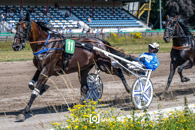 11-07-2026: Paardensport: Grote prijs der lage landen: Wassenaar Grand Prix Des Pays-Bas Prijzendraverij vier jaar en ouder